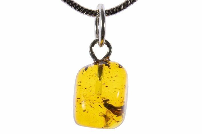 Polished Baltic Amber Pendant (Necklace) - Contains Fly! #339616